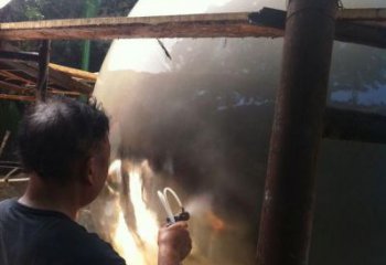 園林藍(lán)莓雕塑 風(fēng)景區(qū)仿真雕塑 廣場(chǎng)小品